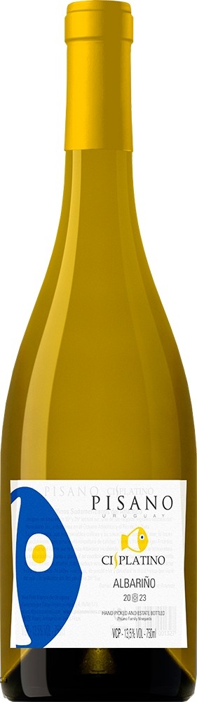 Pisano Cisplatino Albarino, Progreso 2025